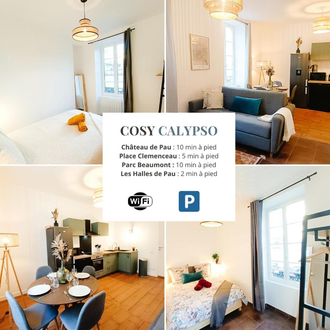 Cosy Calypso 2Ch - Quartier Des Halles & Parking Pau Eksteriør bilde